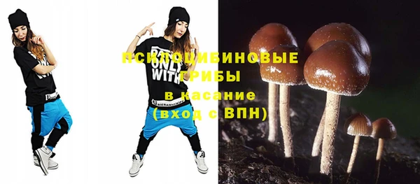 прущая мука Заводоуковск