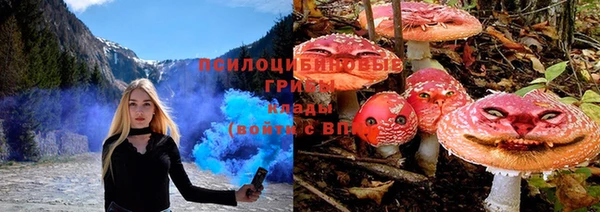 дмт Заволжье